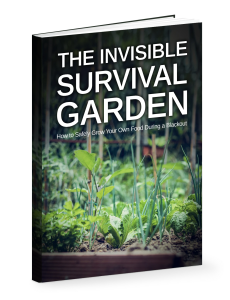 The Invisible Survival Garden